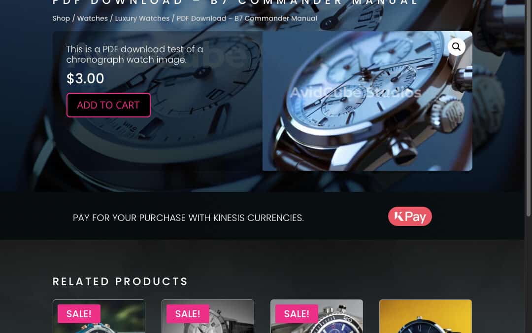 Kinesis Pay Demo